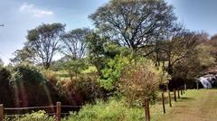 Floresta Nacional de Ipanema in Araçoiaba da Serra, Brazil