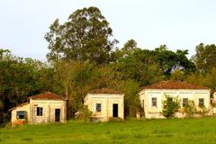 Floresta Nacional de Ipanema