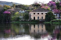 Reflection of Ipanema National Forest in water