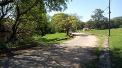 Access road to São João de Ipanema in Floresta Nacional de Ipanema