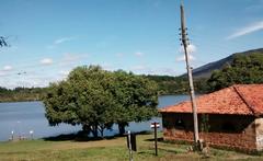 Scenic view of Floresta Nacional de Ipanema