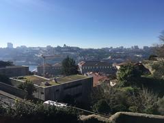 Panoramic view of Porto's historic cityscape along the Douro River with vibrant buildings and boats