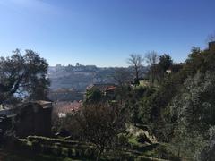 aerial view of Porto with iconic red rooftops and Douro River