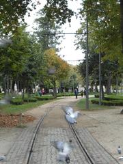 Vintage tram on Porto's Line 22