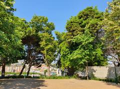 Jardim do Torel in Santo António, Lisbon