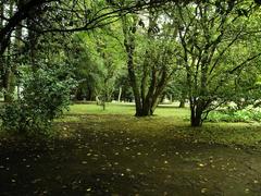 Green field in Cristal Palace gardens, Oporto