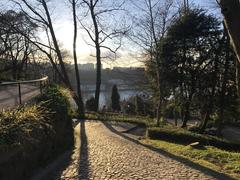 Gardens of Palacio de Cristal in Porto