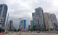 Aerial view of Pinheiros district in Sao Paulo