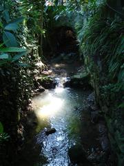 Rio Carioca in Cosme Velho, Rio de Janeiro