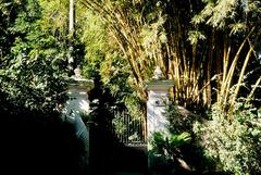 Gate and bamboos in a private garden at Largo do Boticário, Cosme Velho, Rio de Janeiro, Brazil