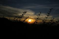 Sunset at Mirante do Mangabeiras in Belo Horizonte