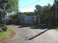 Colorful graffiti on buildings with antennas at Morro da Borússia