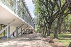 Museu Afro Brasil facade with tree and visitors