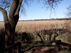 area de descanso en la reserva ecológica en Costanera Sur