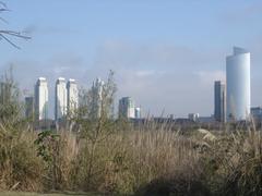 Buenos Aires cityscape from 2008