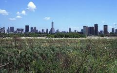 Buenos Aires cityscape from Reserva Ecológica Costanera Sur