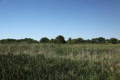 Buenos Aires Ecological Reserve scenic view