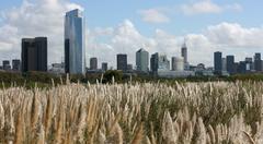 Costanera Sur Natural Reserve in Buenos Aires