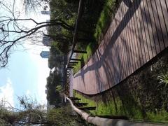 View of the city from the Costanera Sur Ecological Reserve in Buenos Aires, Argentina