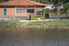 Park in São Paulo with serene lake and lush greenery