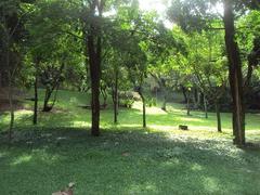 Parque Eduardo Guinle in Laranjeiras, Rio de Janeiro, Brazil