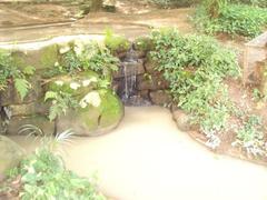 Small waterfall in Parque Guinle, Rio de Janeiro