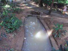 Rio do Parque Guinle in Laranjeiras, Rio de Janeiro, Brazil