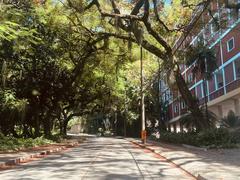 Laranjeiras Parque Guinle Rua Paulo Cézar de Andrade