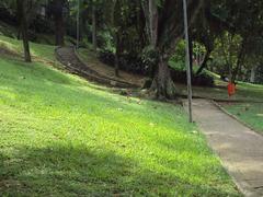 Eduardo Guinle Park in Rio de Janeiro