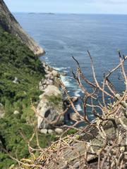 aerial view of Bananal Cove from Itacoatiara Ridge