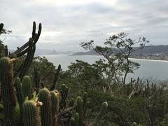 Morro da Andorinha with cacti