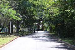 Scenic view of Parque Estadual do Prosa with lush vegetation and a tranquil water body