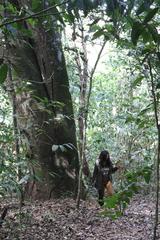 Parque Estadual do Prosa scenic view