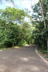 Parque Estadual do Prosa landscape