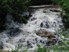 Parque Estadual do Prosa creek