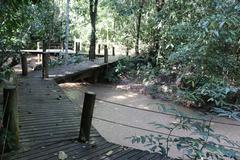 Parque Estadual do Prosa