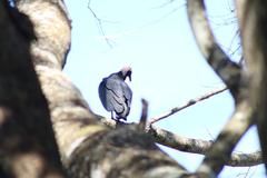 Parque Estadual do Prosa