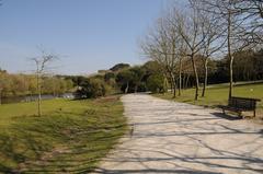 Way in Parque da Cidade do Porto