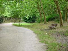 Pathway in Parque da Cidade, Porto, Portugal