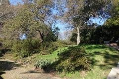 Parque de Serralves in Porto, Portugal