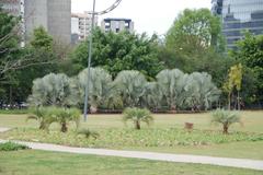 Monument in Brazil identified by ID