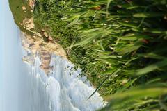 Panoramic view of Parque Natural de Sintra-Cascais