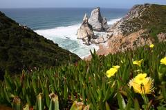 Praia da Ursa beach in Parque Natural de Sintra-Cascais