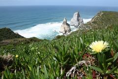 Praia da Ursa in Sintra-Cascais Natural Park