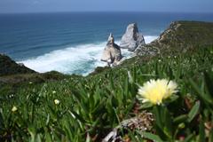 Praia da Ursa in Parque Natural de Sintra-Cascais