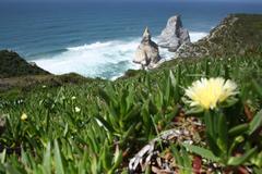 Praia da Ursa beach in Sintra-Cascais Natural Park