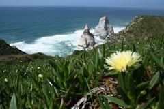 Praia da Ursa beach cliffs and ocean view