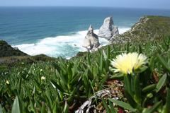 Praia da Ursa beach at Sintra-Cascais Natural Park