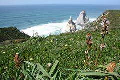 Praia da Ursa beach with rocky cliffs