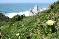 Praia da Ursa in Sintra-Cascais Natural Park